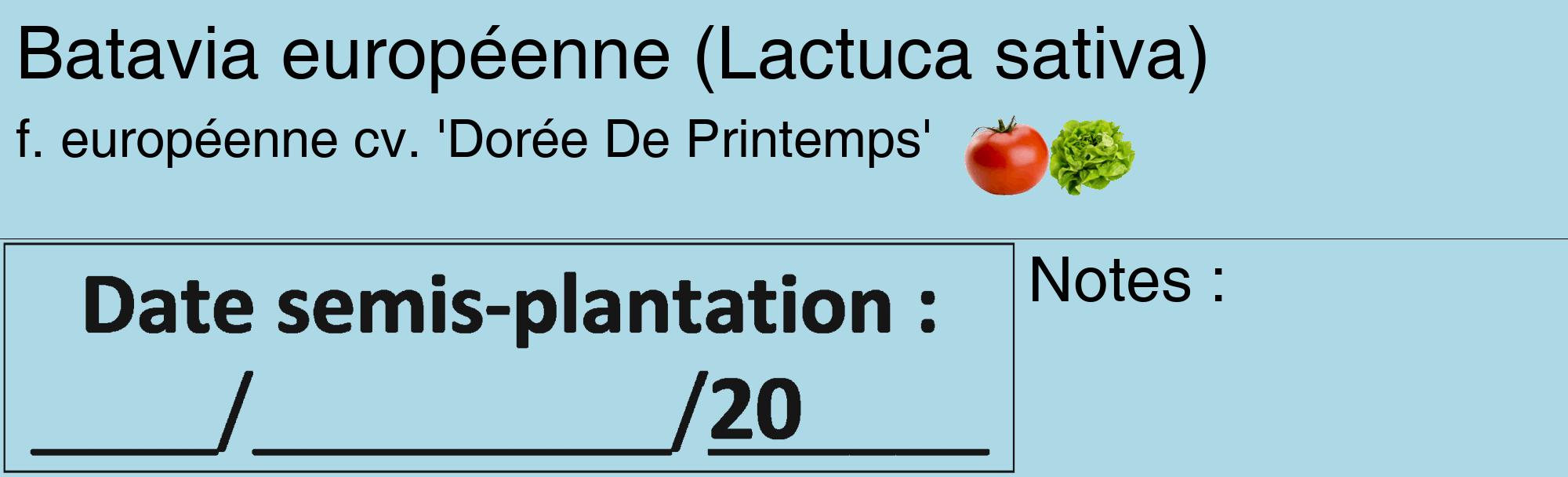 Étiquette de : Lactuca sativa f. européenne cv. 'Dorée De Printemps' - format c - style noire0_basique_basiquehel avec comestibilité simplifiée