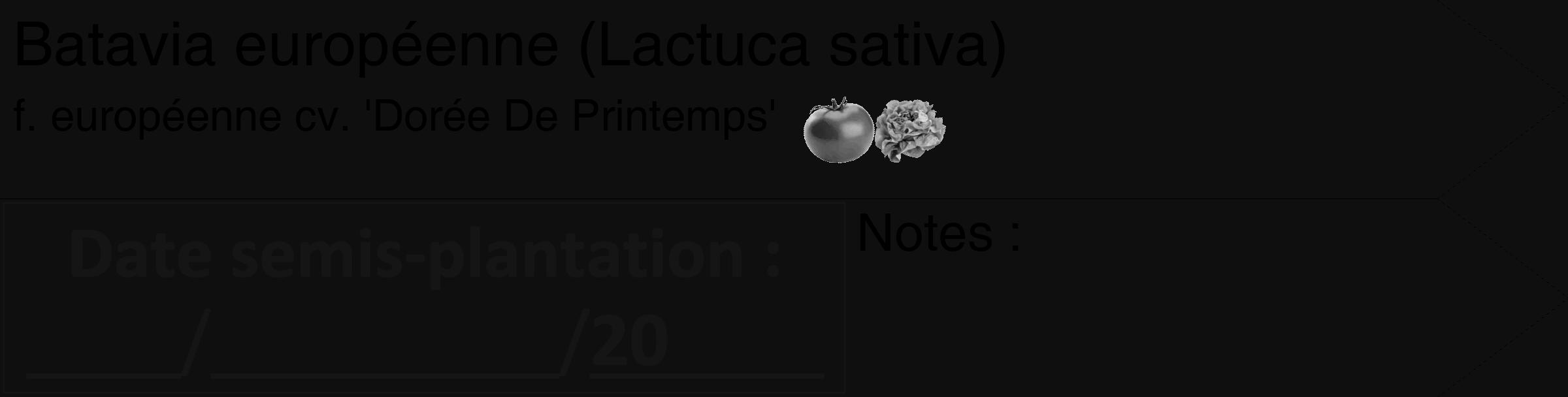 Étiquette de : Lactuca sativa f. européenne cv. 'Dorée De Printemps' - format c - style noire7_simple_simplehel avec comestibilité simplifiée