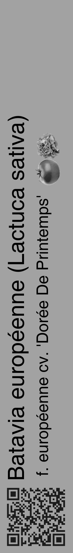 Étiquette de : Lactuca sativa f. européenne cv. 'Dorée De Printemps' - format c - style noire38_basique_basiquehel avec qrcode et comestibilité simplifiée - position verticale