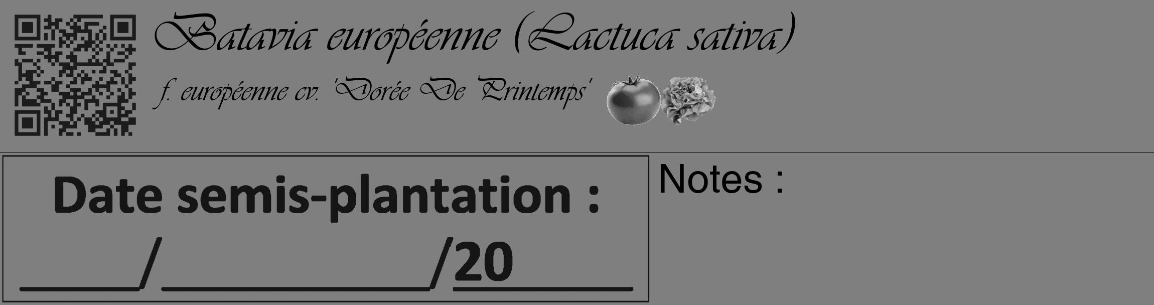Étiquette de : Lactuca sativa f. européenne cv. 'Dorée De Printemps' - format c - style noire57_basique_basiqueviv avec qrcode et comestibilité simplifiée