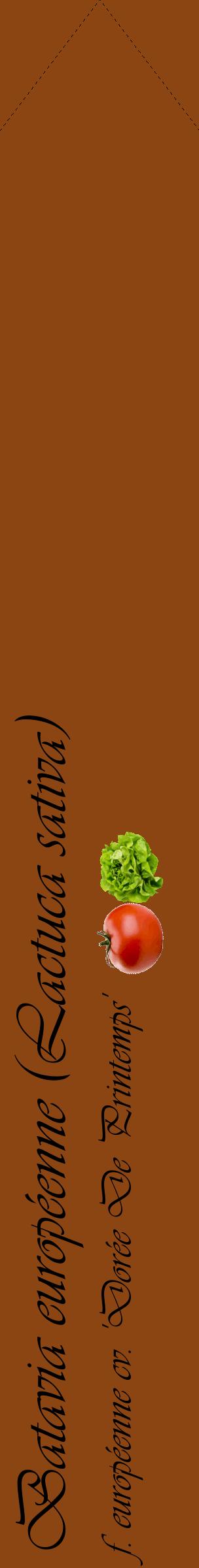 Étiquette de : Lactuca sativa f. européenne cv. 'Dorée De Printemps' - format c - style noire30_simpleviv avec comestibilité simplifiée