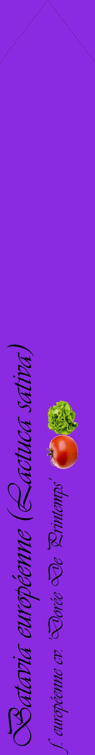 Étiquette de : Lactuca sativa f. européenne cv. 'Dorée De Printemps' - format c - style noire49_simpleviv avec comestibilité simplifiée