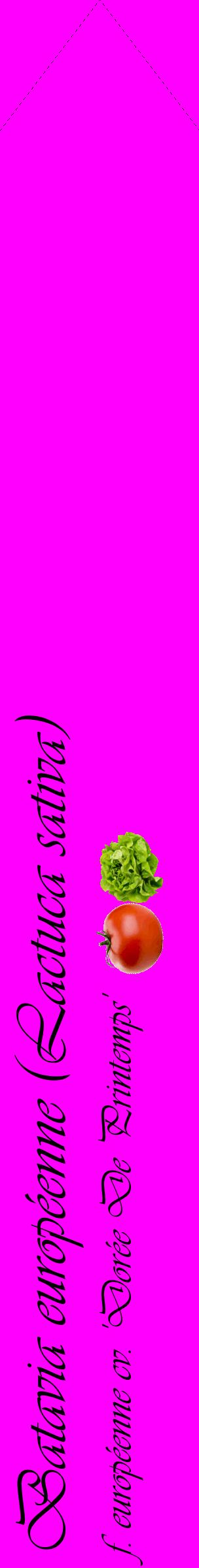 Étiquette de : Lactuca sativa f. européenne cv. 'Dorée De Printemps' - format c - style noire51_simpleviv avec comestibilité simplifiée