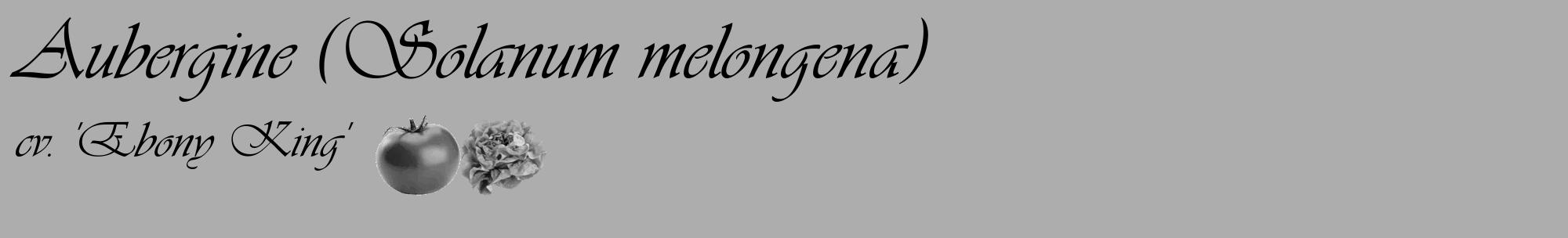 Étiquette de : Solanum melongena cv. 'Ebony King' - format c - style noire22_basique_basiqueviv avec comestibilité simplifiée