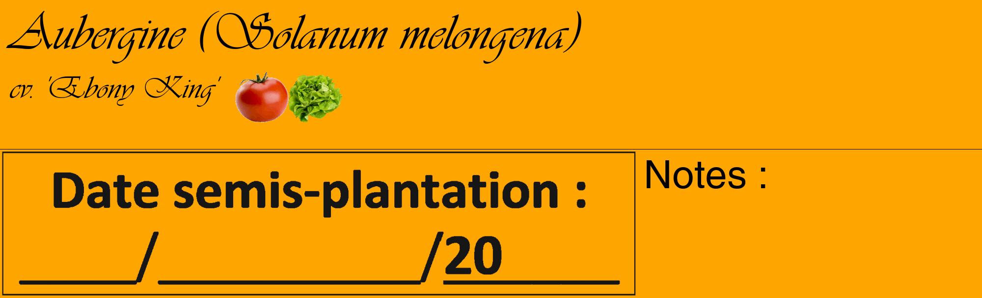 Étiquette de : Solanum melongena cv. 'Ebony King' - format c - style noire22_basique_basiqueviv avec comestibilité simplifiée