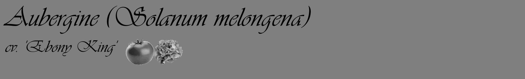 Étiquette de : Solanum melongena cv. 'Ebony King' - format c - style noire31basique_basique_basiqueviv avec comestibilité simplifiée