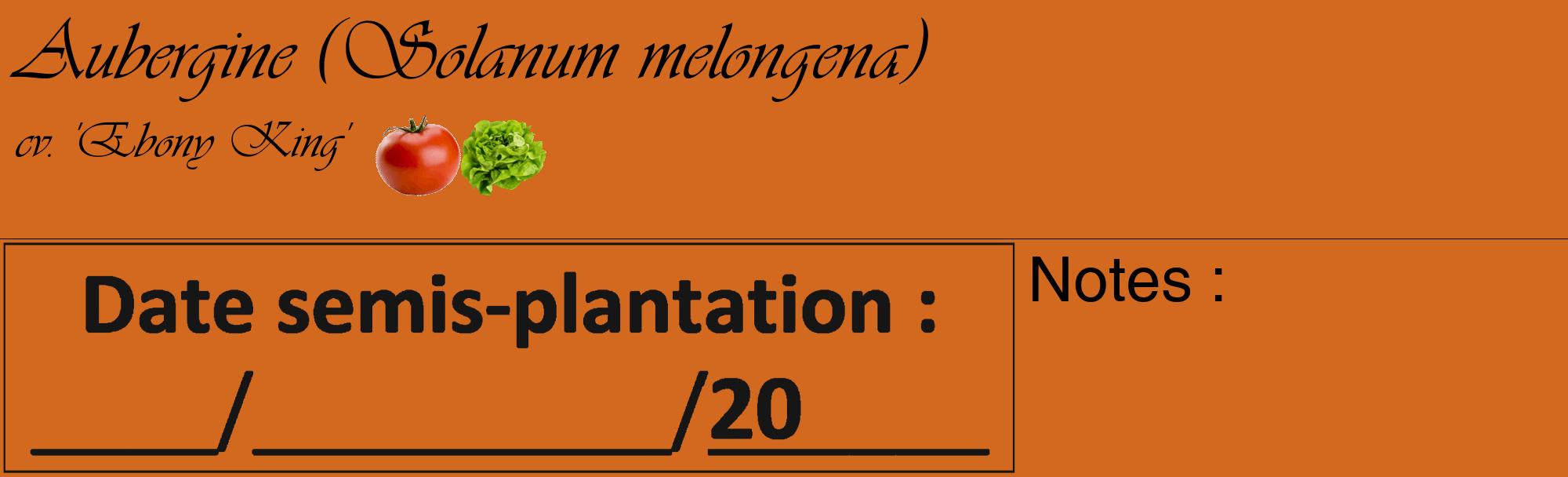 Étiquette de : Solanum melongena cv. 'Ebony King' - format c - style noire31basique_basique_basiqueviv avec comestibilité simplifiée