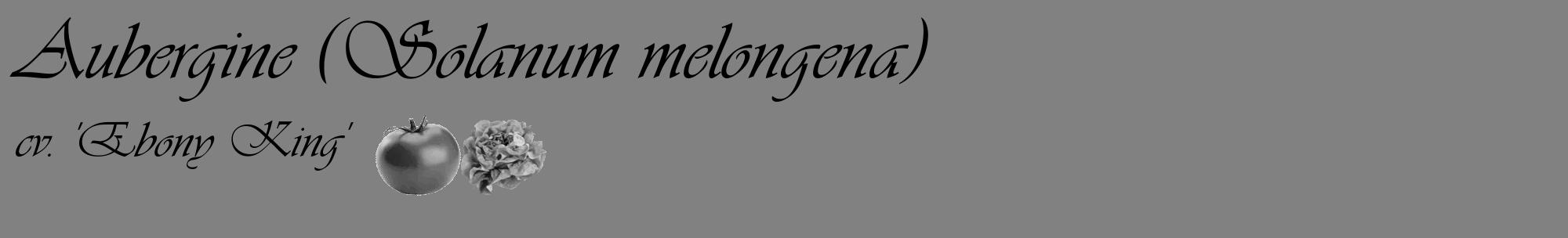 Étiquette de : Solanum melongena cv. 'Ebony King' - format c - style noire50_basique_basiqueviv avec comestibilité simplifiée