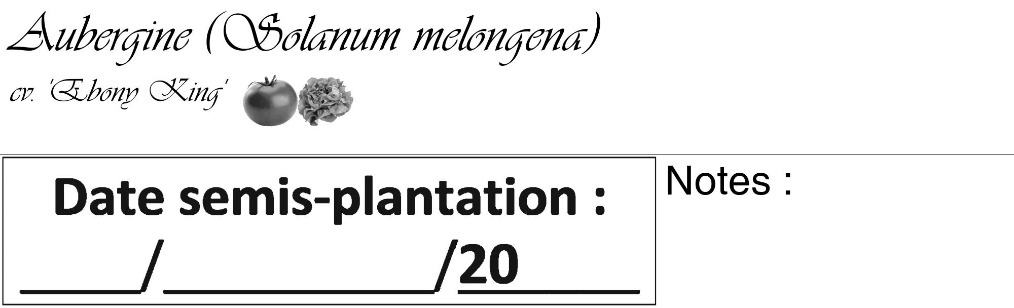 Étiquette de : Solanum melongena cv. 'Ebony King' - format c - style noire60_basique_basiqueviv avec comestibilité simplifiée
