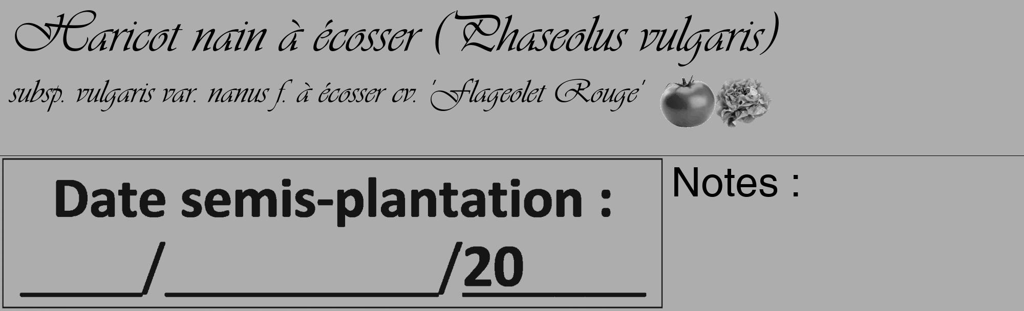 Étiquette de : Phaseolus vulgaris subsp. vulgaris var. nanus f. à écosser cv. 'Flageolet Rouge' - format c - style noire22_basique_basiqueviv avec comestibilité simplifiée