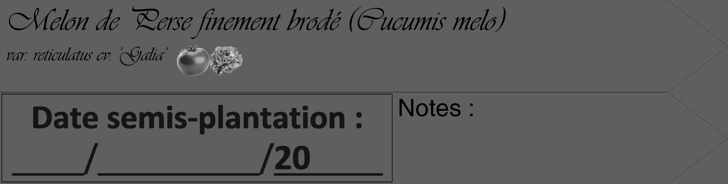 Étiquette de : Cucumis melo var. reticulatus cv. 'Galia' - format c - style noire10_simple_simpleviv avec comestibilité simplifiée