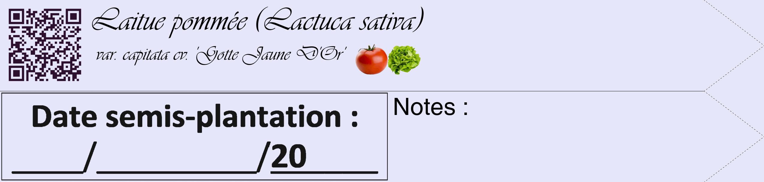 Étiquette de : Lactuca sativa var. capitata cv. 'Gotte Jaune D'Or' - format c - style noire55_simple_simpleviv avec qrcode et comestibilité simplifiée