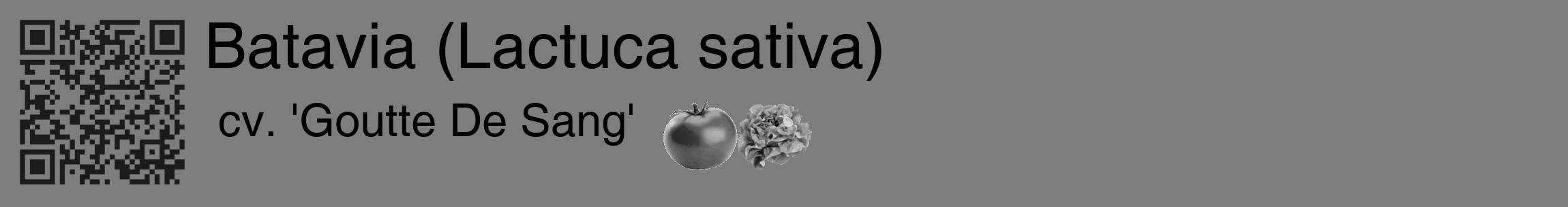 Étiquette de : Lactuca sativa cv. 'Goutte De Sang' - format c - style noire35_basique_basiquehel avec qrcode et comestibilité simplifiée