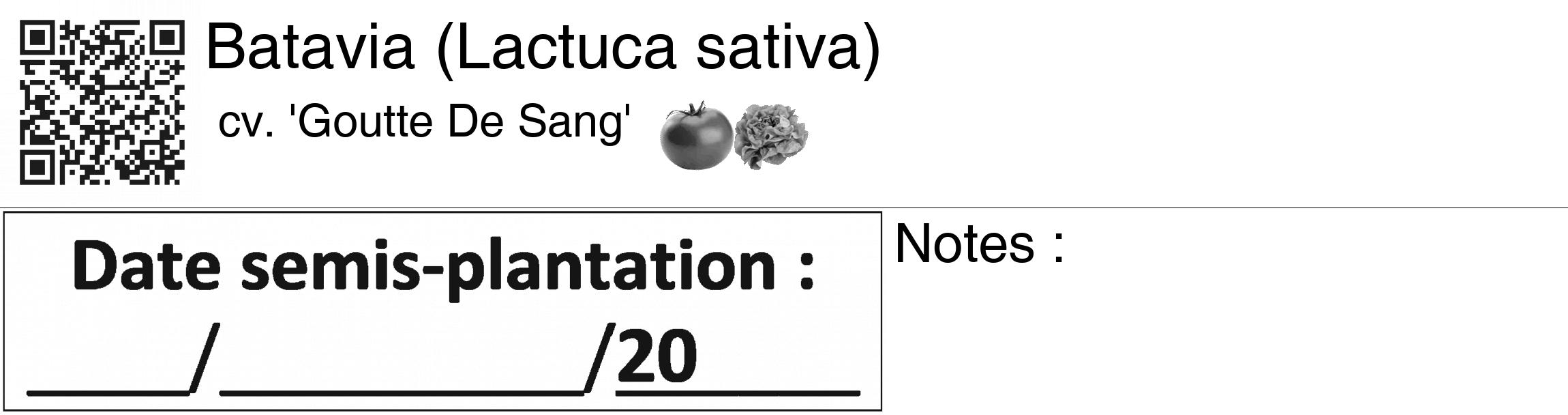 Étiquette de : Lactuca sativa cv. 'Goutte De Sang' - format c - style noire60_basiquegrrvhel avec qrcode et comestibilité simplifiée