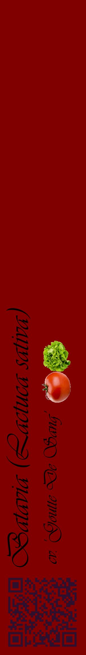 Étiquette de : Lactuca sativa cv. 'Goutte De Sang' - format c - style noire29_basiqueviv avec qrcode et comestibilité simplifiée