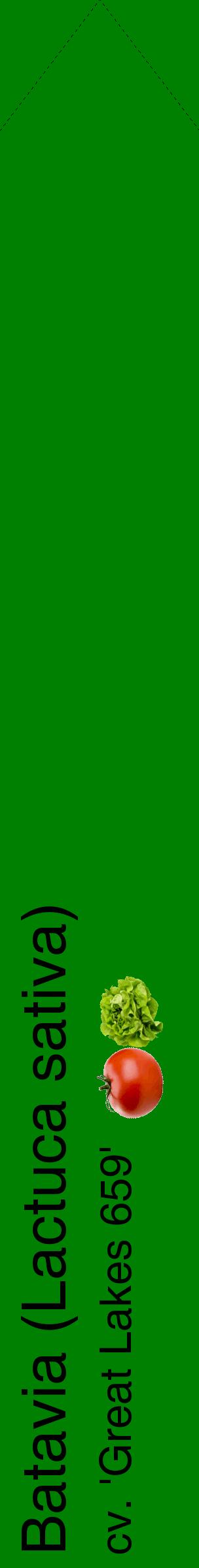 Étiquette de : Lactuca sativa cv. 'Great Lakes 659' - format c - style noire9_simplehel avec comestibilité simplifiée