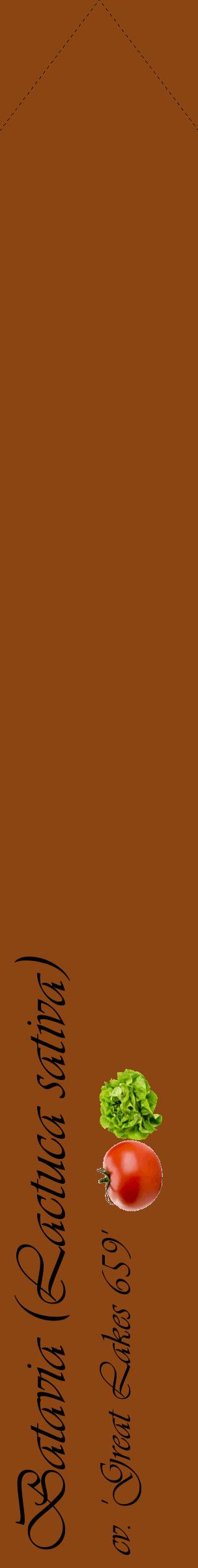 Étiquette de : Lactuca sativa cv. 'Great Lakes 659' - format c - style noire30_simpleviv avec comestibilité simplifiée
