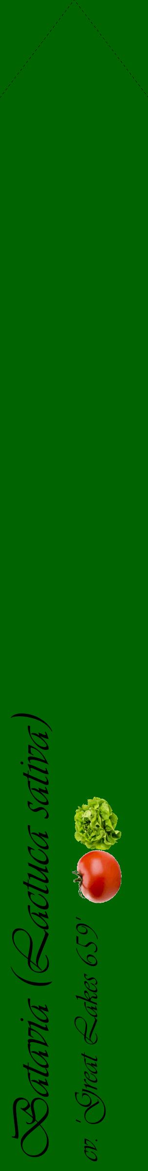 Étiquette de : Lactuca sativa cv. 'Great Lakes 659' - format c - style noire8_simpleviv avec comestibilité simplifiée