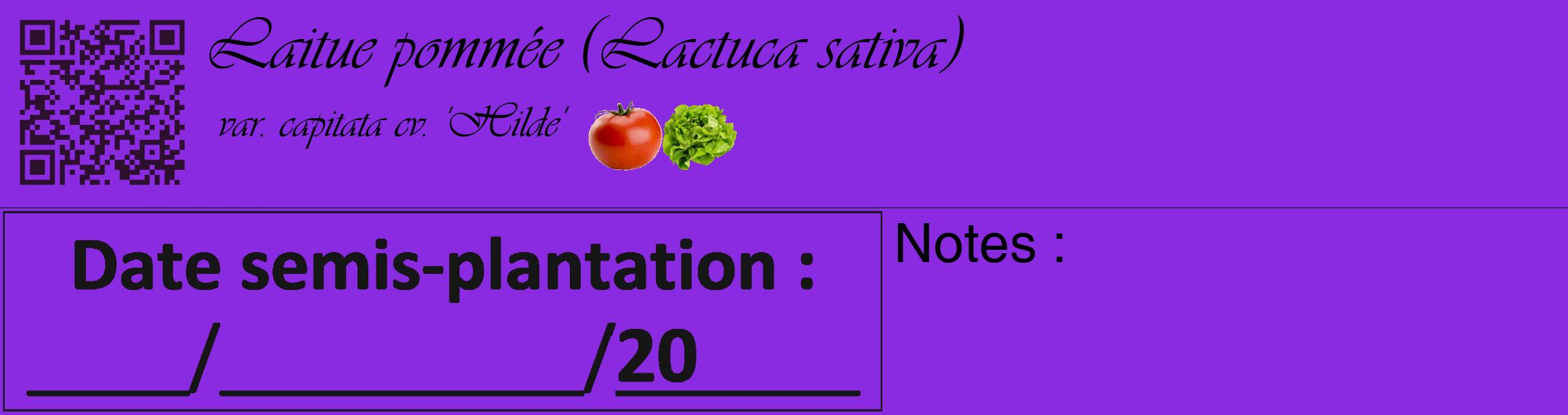 Étiquette de : Lactuca sativa var. capitata cv. 'Hilde' - format c - style noire49_basique_basiqueviv avec qrcode et comestibilité simplifiée