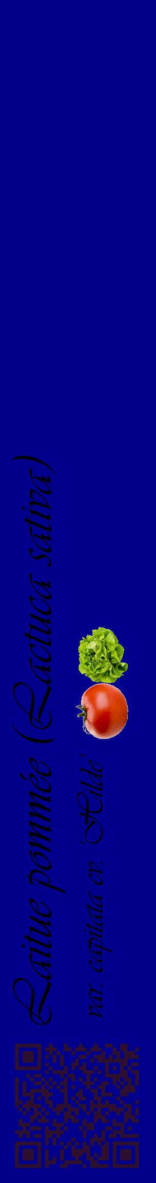 Étiquette de : Lactuca sativa var. capitata cv. 'Hilde' - format c - style noire7_basiqueviv avec qrcode et comestibilité simplifiée