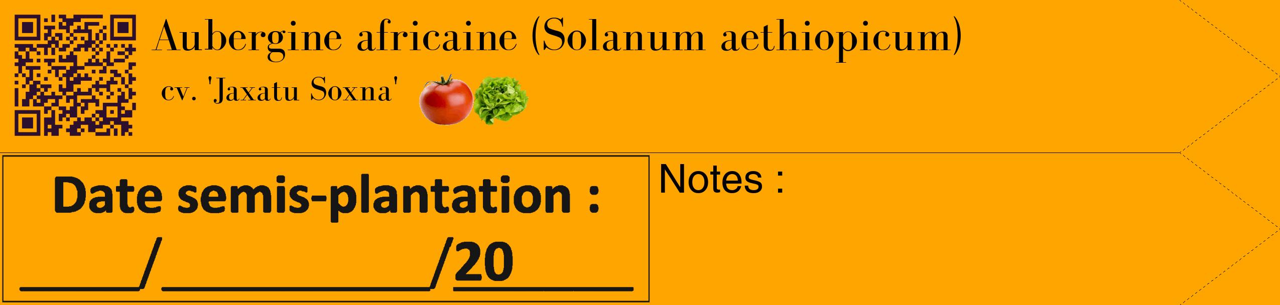Étiquette de : Solanum aethiopicum cv. 'Jaxatu Soxna' - format c - style noire22_simple_simplebod avec qrcode et comestibilité simplifiée