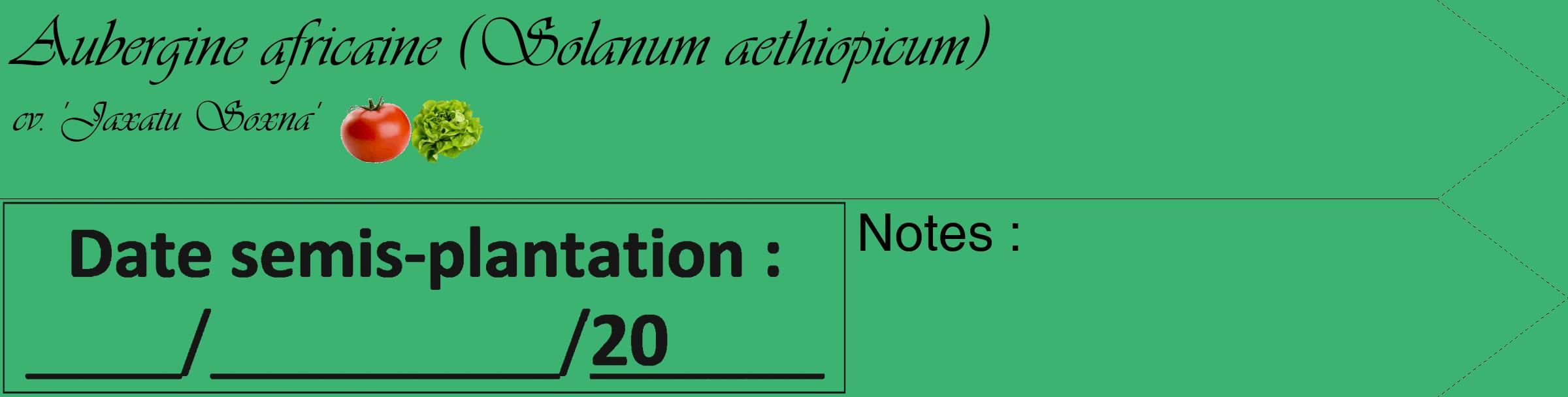 Étiquette de : Solanum aethiopicum cv. 'Jaxatu Soxna' - format c - style noire12_simple_simpleviv avec comestibilité simplifiée