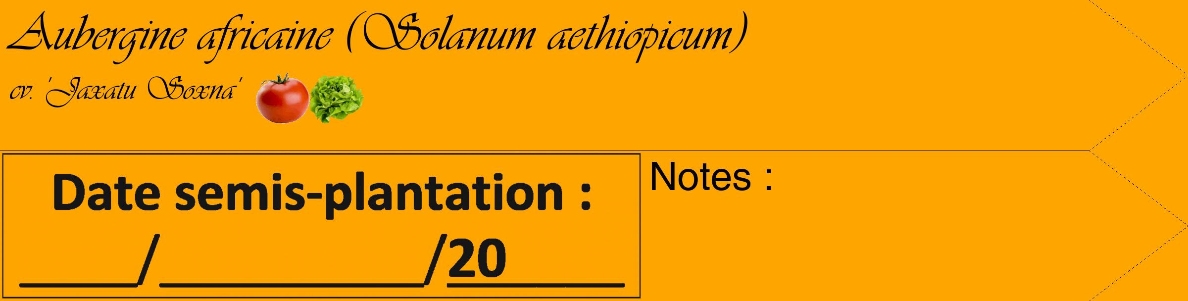 Étiquette de : Solanum aethiopicum cv. 'Jaxatu Soxna' - format c - style noire22_simple_simpleviv avec comestibilité simplifiée