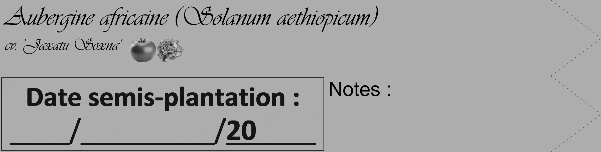 Étiquette de : Solanum aethiopicum cv. 'Jaxatu Soxna' - format c - style noire22_simple_simpleviv avec comestibilité simplifiée