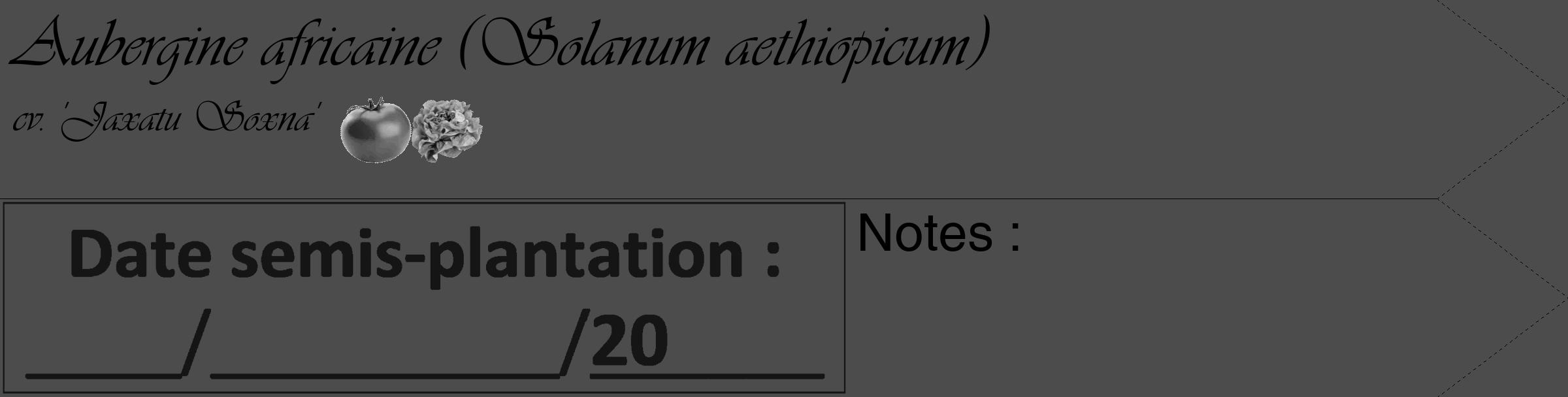 Étiquette de : Solanum aethiopicum cv. 'Jaxatu Soxna' - format c - style noire27_simple_simpleviv avec comestibilité simplifiée