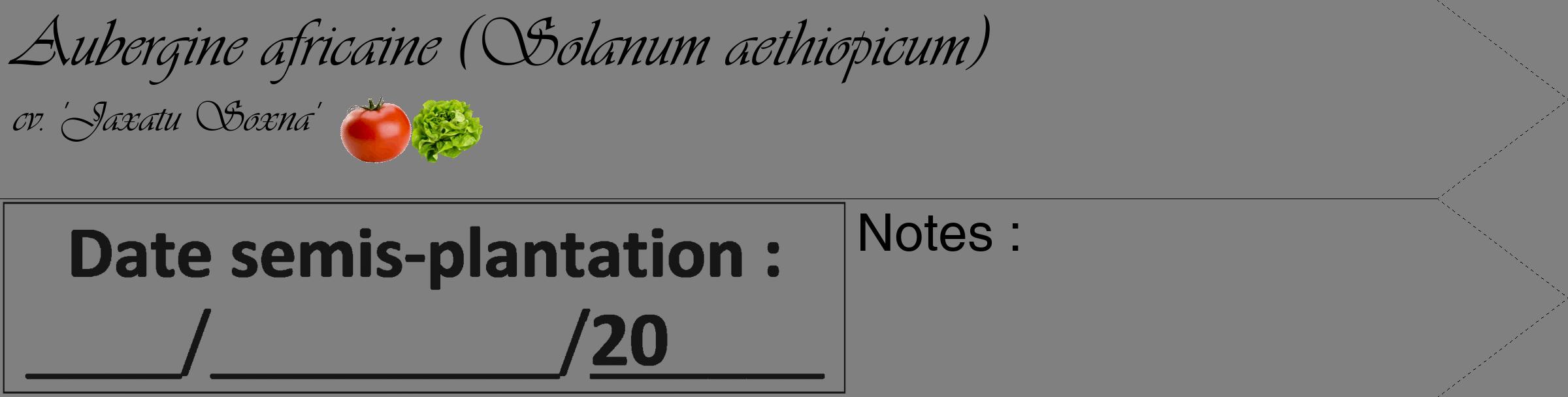 Étiquette de : Solanum aethiopicum cv. 'Jaxatu Soxna' - format c - style noire57_simple_simpleviv avec comestibilité simplifiée