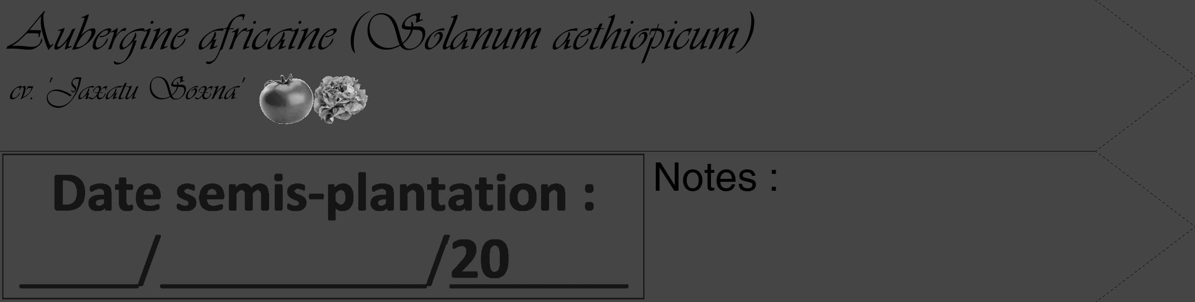 Étiquette de : Solanum aethiopicum cv. 'Jaxatu Soxna' - format c - style noire58_simple_simpleviv avec comestibilité simplifiée
