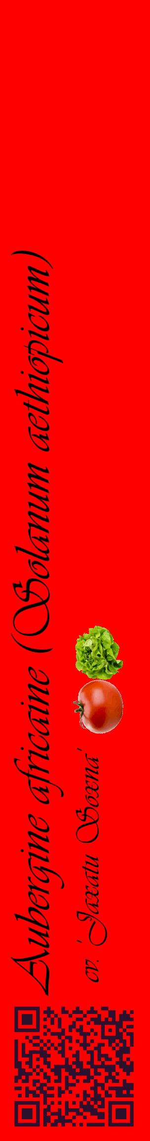 Étiquette de : Solanum aethiopicum cv. 'Jaxatu Soxna' - format c - style noire27_basiqueviv avec qrcode et comestibilité simplifiée