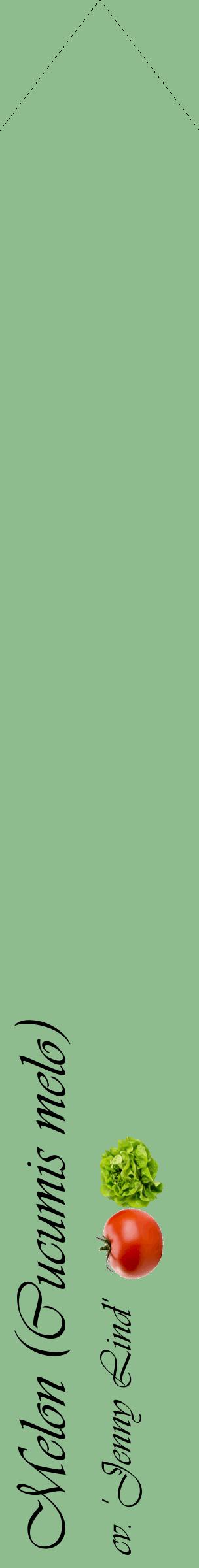 Étiquette de : Cucumis melo cv. 'Jenny Lind' - format c - style noire13_simpleviv avec comestibilité simplifiée