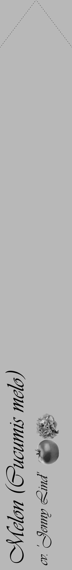 Étiquette de : Cucumis melo cv. 'Jenny Lind' - format c - style noire39_simple_simpleviv avec comestibilité simplifiée - position verticale