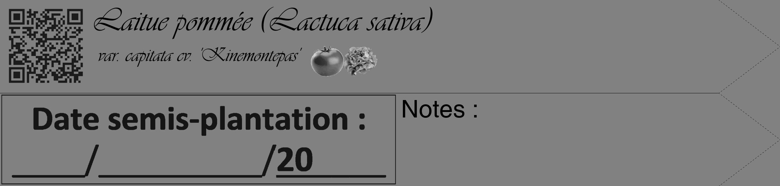 Étiquette de : Lactuca sativa var. capitata cv. 'Kinemontepas' - format c - style noire50_simple_simpleviv avec qrcode et comestibilité simplifiée
