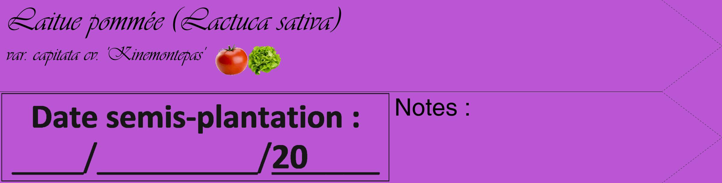 Étiquette de : Lactuca sativa var. capitata cv. 'Kinemontepas' - format c - style noire50_simple_simpleviv avec comestibilité simplifiée