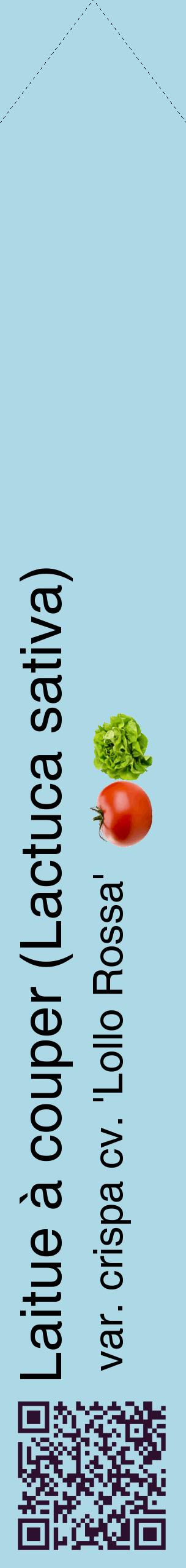Étiquette de : Lactuca sativa var. crispa cv. 'Lollo Rossa' - format c - style noire0_simplehel avec qrcode et comestibilité simplifiée