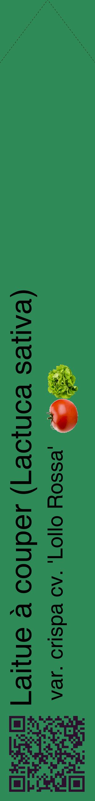 Étiquette de : Lactuca sativa var. crispa cv. 'Lollo Rossa' - format c - style noire11_simplehel avec qrcode et comestibilité simplifiée