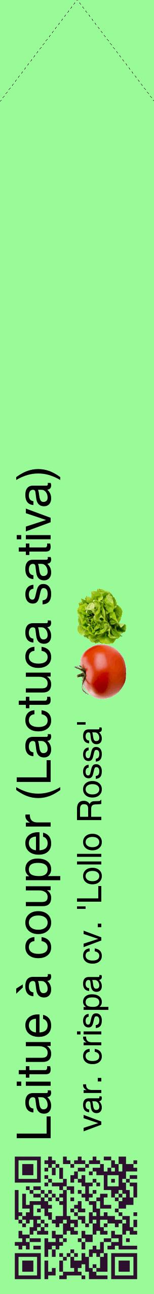 Étiquette de : Lactuca sativa var. crispa cv. 'Lollo Rossa' - format c - style noire14_simplehel avec qrcode et comestibilité simplifiée