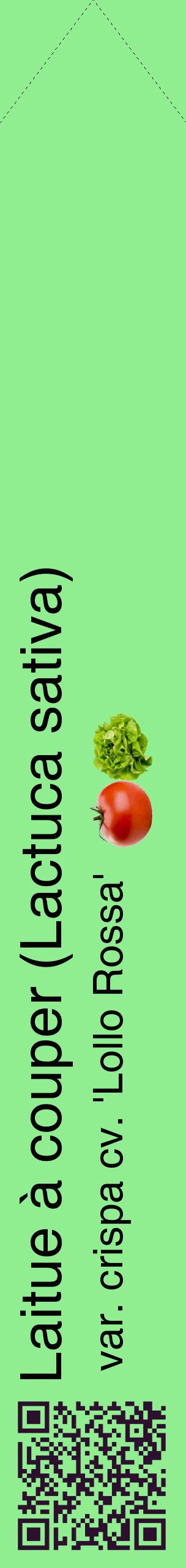 Étiquette de : Lactuca sativa var. crispa cv. 'Lollo Rossa' - format c - style noire15_simplehel avec qrcode et comestibilité simplifiée