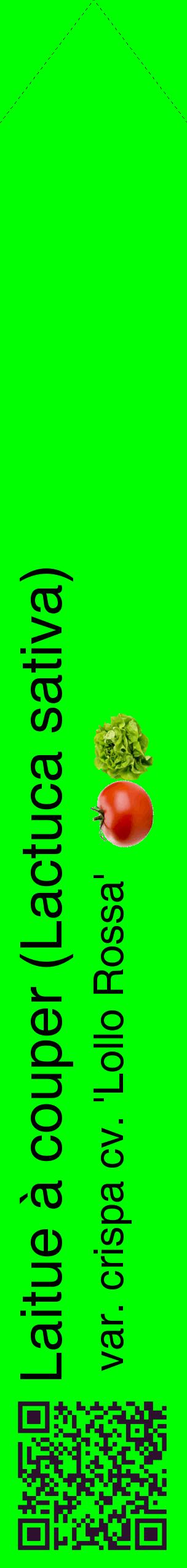 Étiquette de : Lactuca sativa var. crispa cv. 'Lollo Rossa' - format c - style noire16_simplehel avec qrcode et comestibilité simplifiée