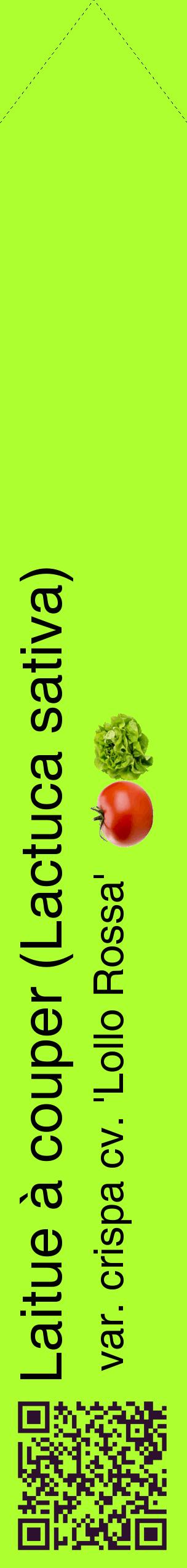 Étiquette de : Lactuca sativa var. crispa cv. 'Lollo Rossa' - format c - style noire17_simplehel avec qrcode et comestibilité simplifiée