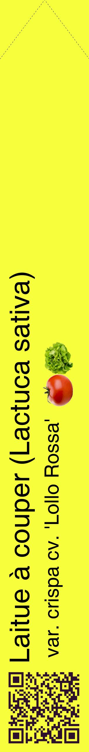 Étiquette de : Lactuca sativa var. crispa cv. 'Lollo Rossa' - format c - style noire18_simplehel avec qrcode et comestibilité simplifiée