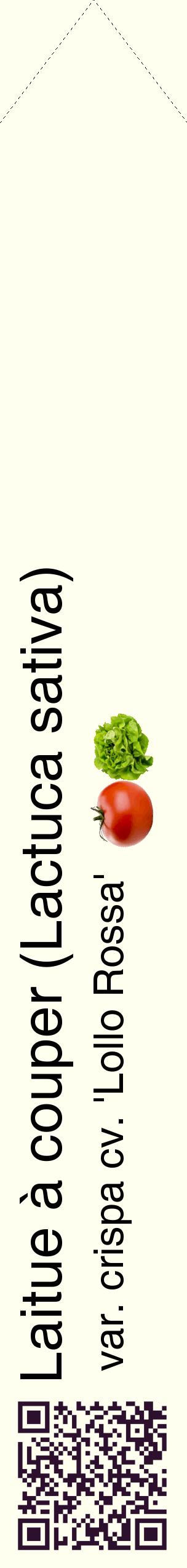 Étiquette de : Lactuca sativa var. crispa cv. 'Lollo Rossa' - format c - style noire19_simplehel avec qrcode et comestibilité simplifiée