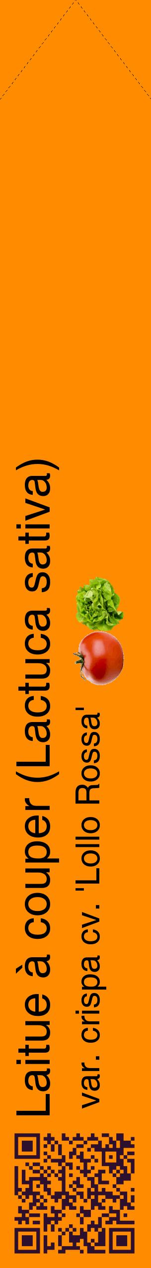 Étiquette de : Lactuca sativa var. crispa cv. 'Lollo Rossa' - format c - style noire23_simplehel avec qrcode et comestibilité simplifiée