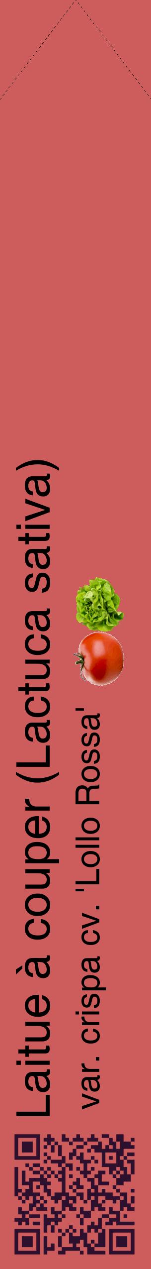 Étiquette de : Lactuca sativa var. crispa cv. 'Lollo Rossa' - format c - style noire35_simplehel avec qrcode et comestibilité simplifiée