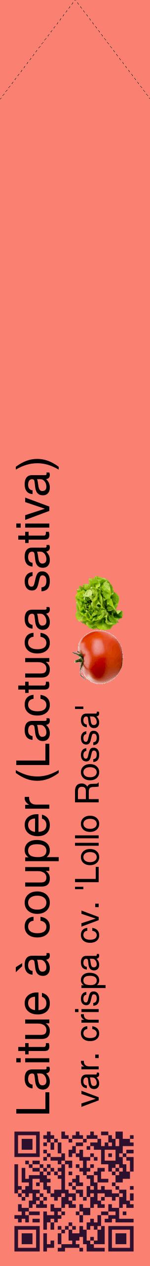 Étiquette de : Lactuca sativa var. crispa cv. 'Lollo Rossa' - format c - style noire38_simplehel avec qrcode et comestibilité simplifiée