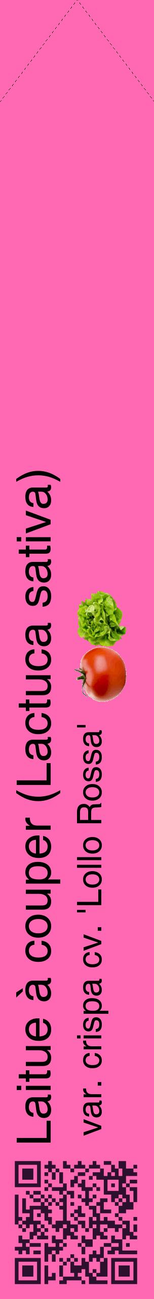 Étiquette de : Lactuca sativa var. crispa cv. 'Lollo Rossa' - format c - style noire42_simplehel avec qrcode et comestibilité simplifiée