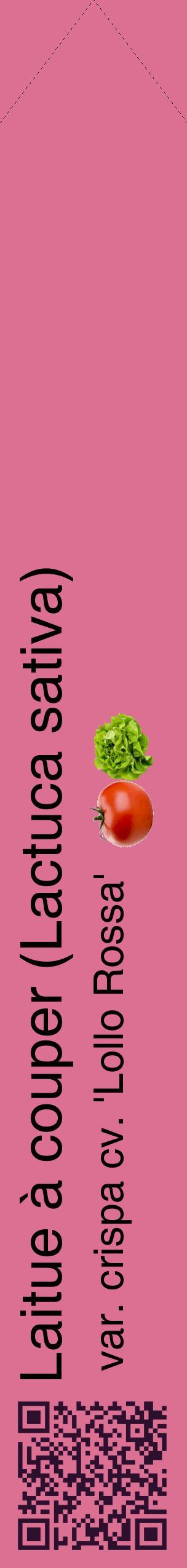 Étiquette de : Lactuca sativa var. crispa cv. 'Lollo Rossa' - format c - style noire44_simplehel avec qrcode et comestibilité simplifiée