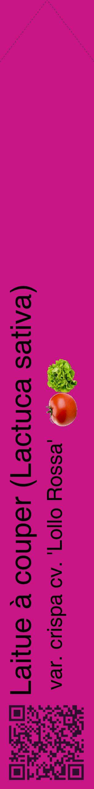Étiquette de : Lactuca sativa var. crispa cv. 'Lollo Rossa' - format c - style noire45_simplehel avec qrcode et comestibilité simplifiée